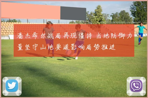 潘杰希尔战局再现僵持 当地防御力量坚守山地要道影响局势推进
