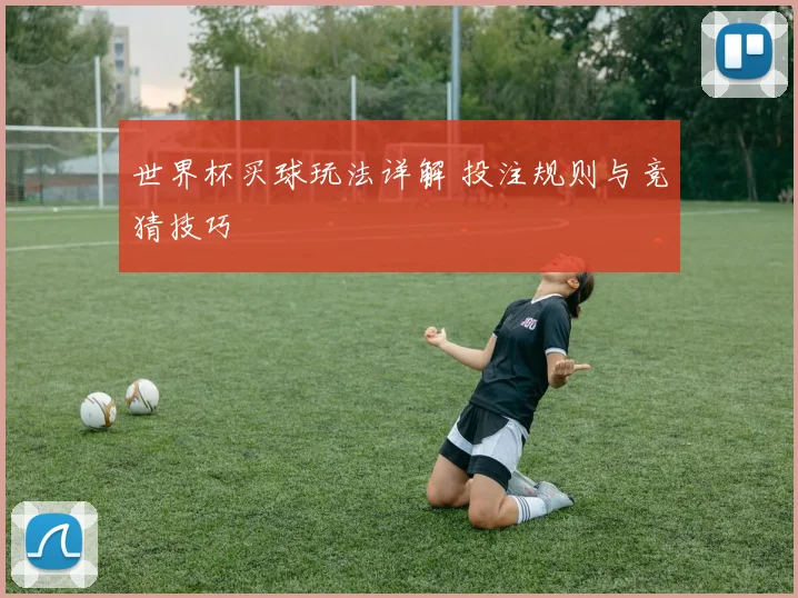 世界杯买球玩法详解 投注规则与竞猜技巧