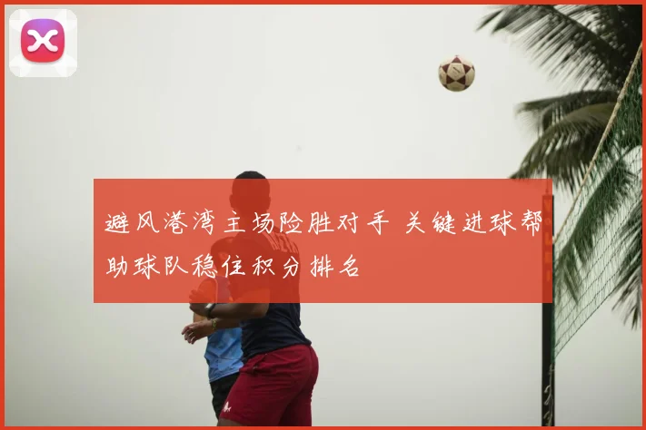 避风港湾主场险胜对手 关键进球帮助球队稳住积分排名