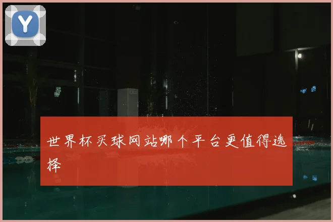 世界杯买球网站哪个平台更值得选择