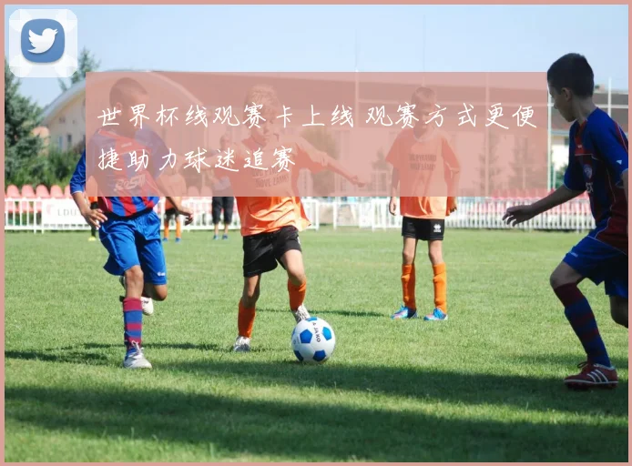 世界杯线观赛卡上线 观赛方式更便捷助力球迷追赛