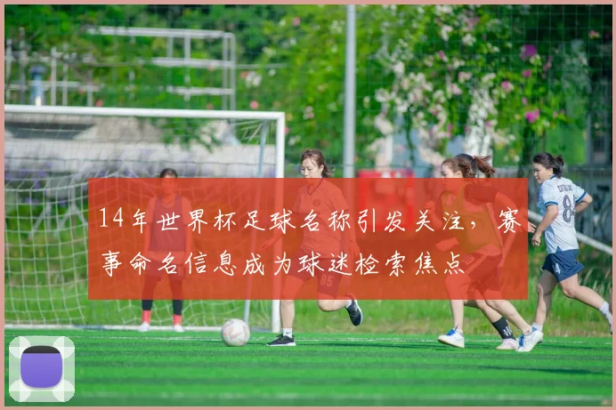 14年世界杯足球名称引发关注，赛事命名信息成为球迷检索焦点