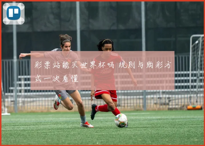 彩票站能买世界杯吗 规则与购彩方式一次看懂